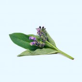 Dr.Kelen gel pentru inflamatii si dureri cu tataneasa 175 ml. 