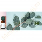 Ulei esential de eucalipt 10 ml. 